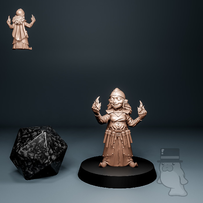 Gnome Female - DnD Heroes: Mages - Tytan Troll :: Mini Manatee New Zealand